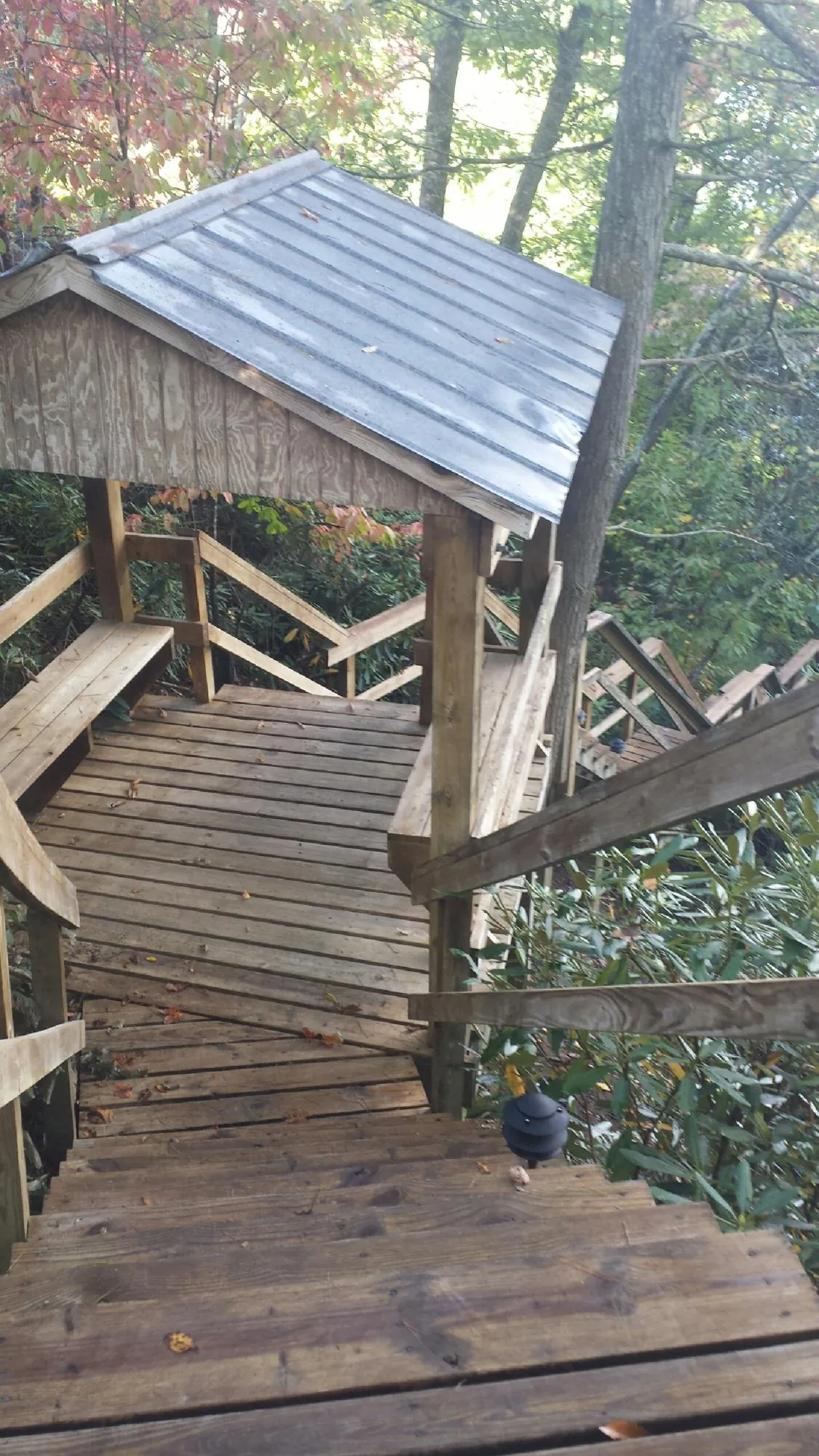 Metal roofed shelter over wooden steps on a wooded walkway — Skylight Repair & Installation work by our crew in Ripley