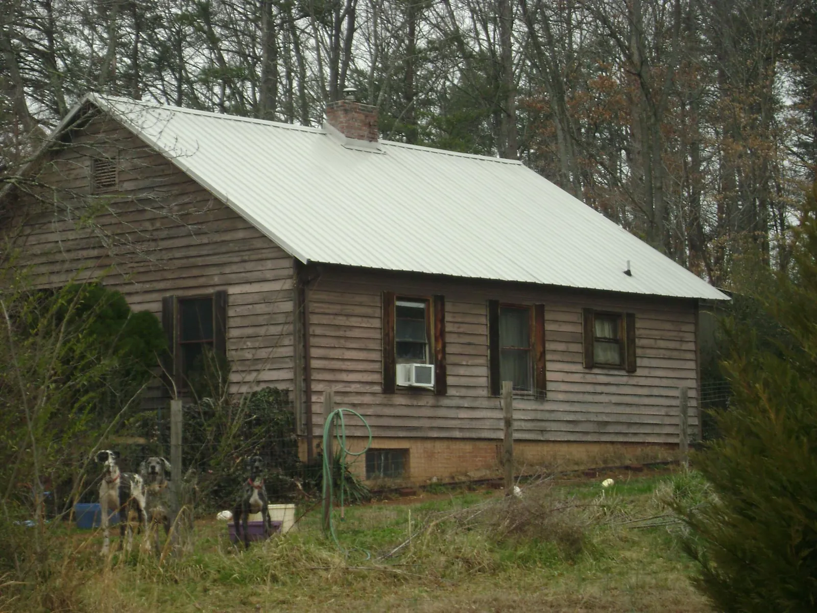 White metal roof on an old wood sided farmhouse, from a Metal Roof Installation job in Ripley